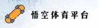 悟空体育(WUKONG)官方网站 · 飞跃巅峰 · 7F2K